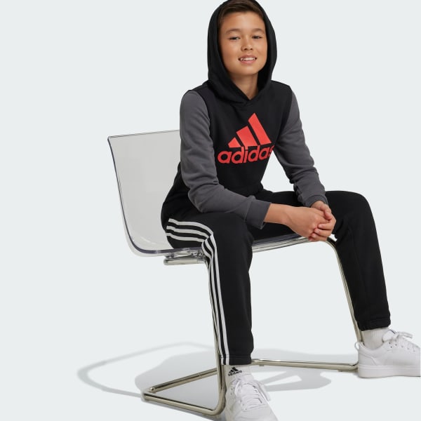 Essentials Big Logo Colorblock Hoodie Kids
