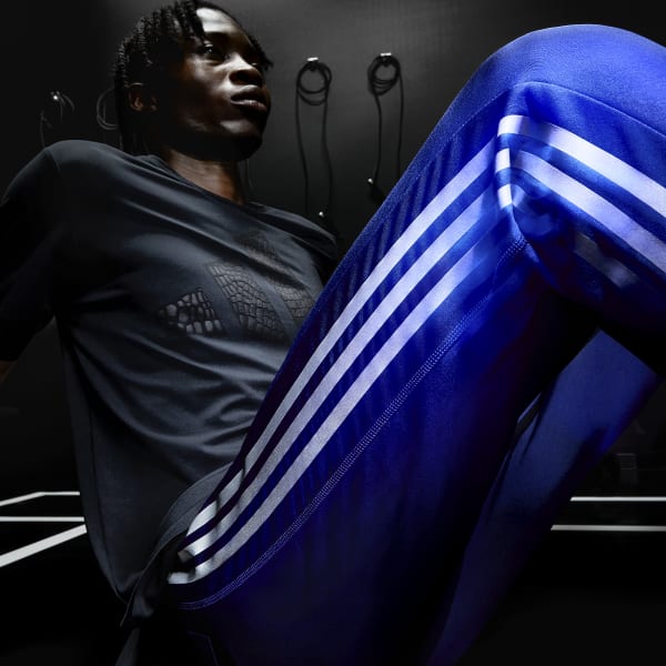 modrá Tepláky Best of adidas Training