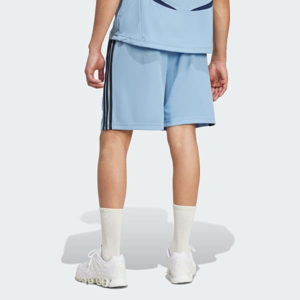 Blau Teamgeist Adicolor Shorts