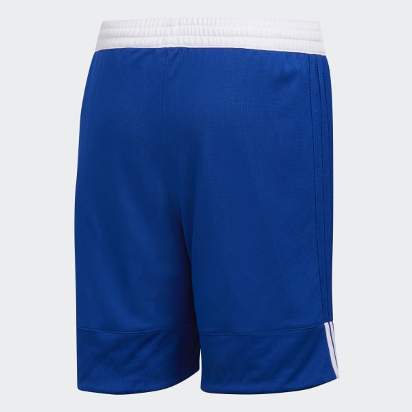 blauw 3G Speed Reversible Short