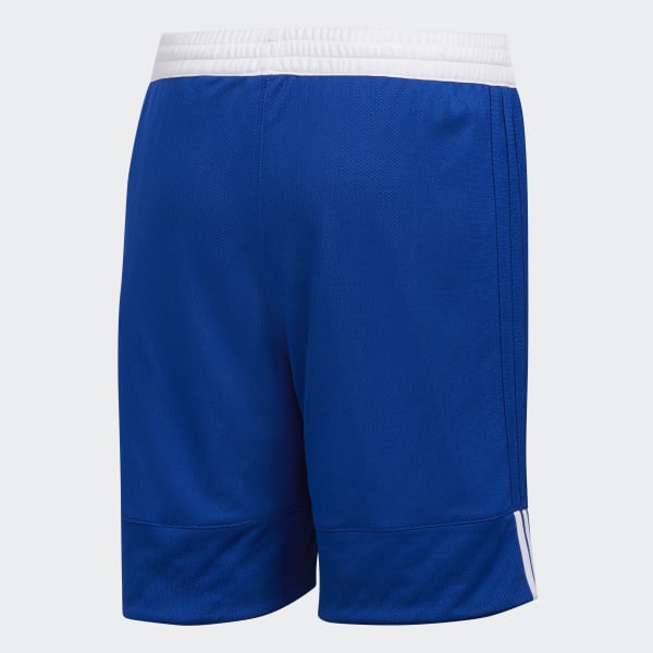 Blue 3G Speed Reversible Shorts