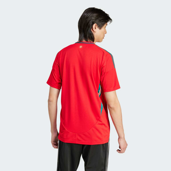 Maglia Home 24 Wales