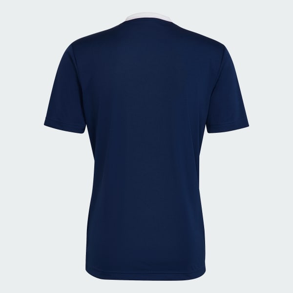 Niebieski Entrada 22 Jersey