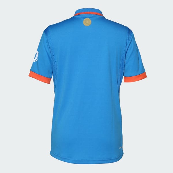 Buy Official ICC CWC-23 Men India Cricket ODI Fan Printed Half Sleeves Polo  Collar Customised Jersey From Fancode Shop.