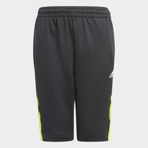 adidas predator shorts