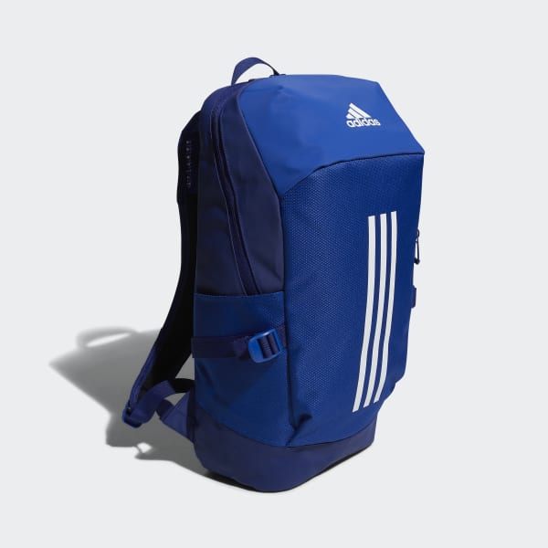 Blue Endurance Packing System Backpack 20 23305