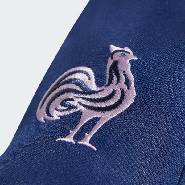 Blue France Fieldplayer Gloves