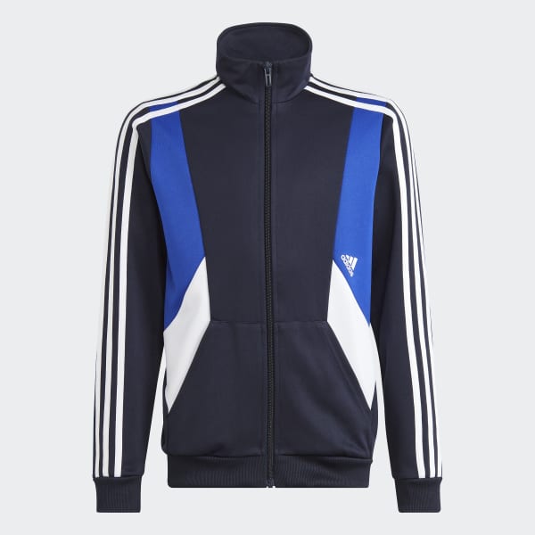 Blue Colorblock 3-Stripes Track Suit