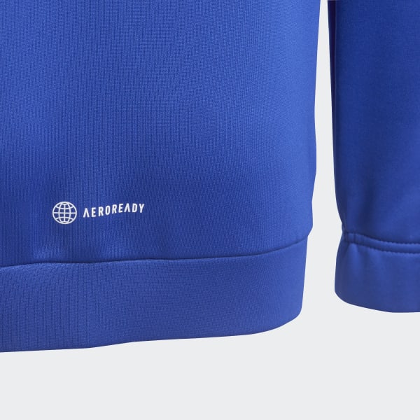 Bla Train Icons AEROREADY 3-Stripes hættetrøje