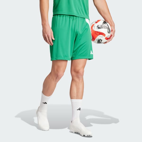 Verde Shorts Fortore 23