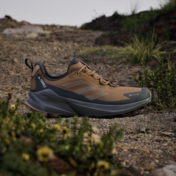 Brun Terrex Trailmaker 2 GORE-TEX Tursko