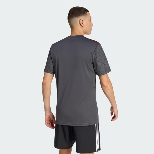 Grey Team Icon 25 Jersey