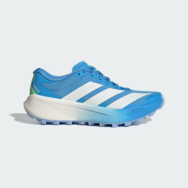 Blau Terrex Agravic 4 Trail Running Schuh