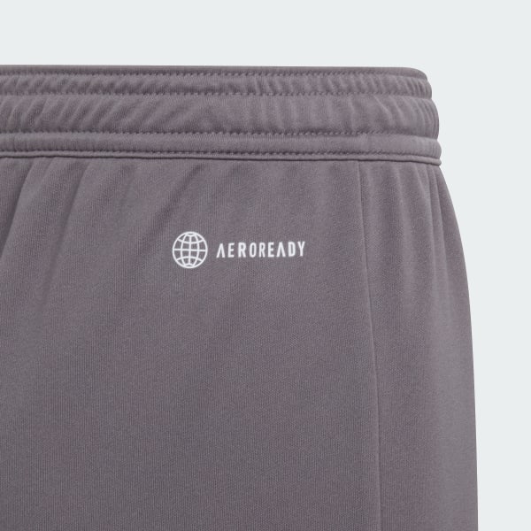 Grau Entrada 22 Shorts