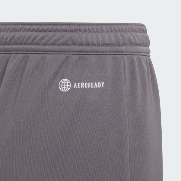 Grey Entrada 22 Shorts
