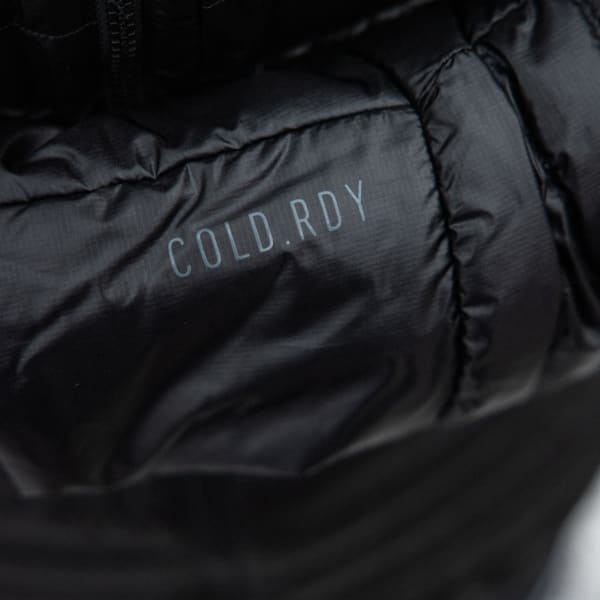 Black Terrex Techrock Down Hooded Jacket