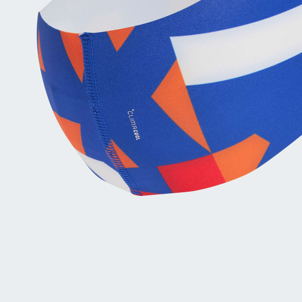 Blue Terrex Climacool Graphic Headband