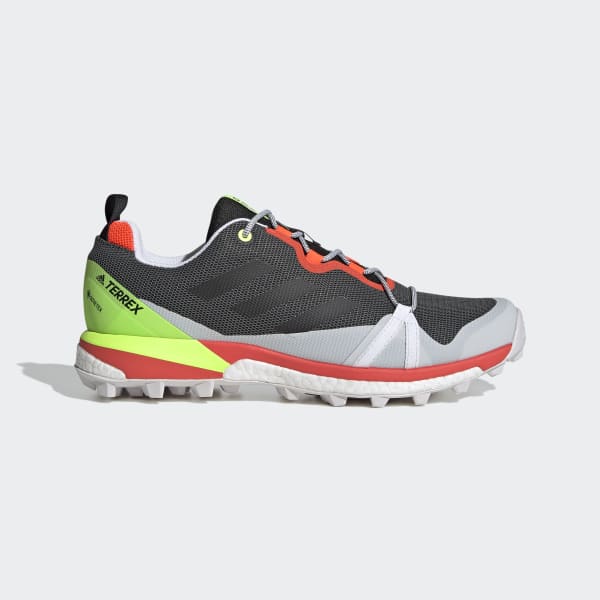 terrex skychaser gtx shoes