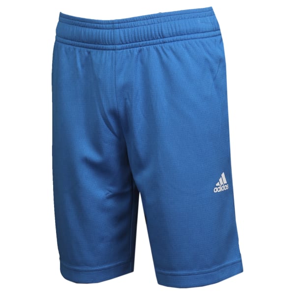 Boys Logo Shorts