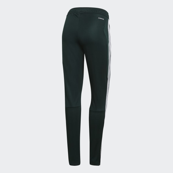 tiro 19 training pants green