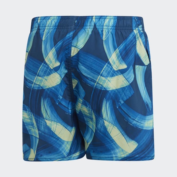 parley swim shorts