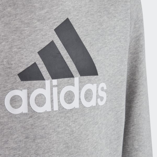 Gris Sudadera con Gorro Essentials Logo Bicolor Grande