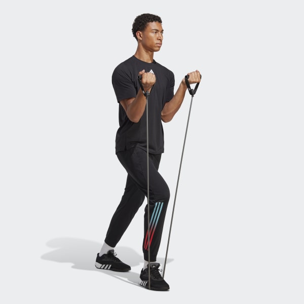 Black Train Icons 3-Stripes Training Pants