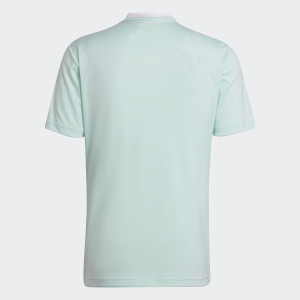 Gron Entrada 22 Jersey