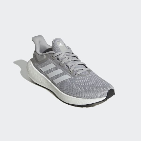 Grey pureboost 2024