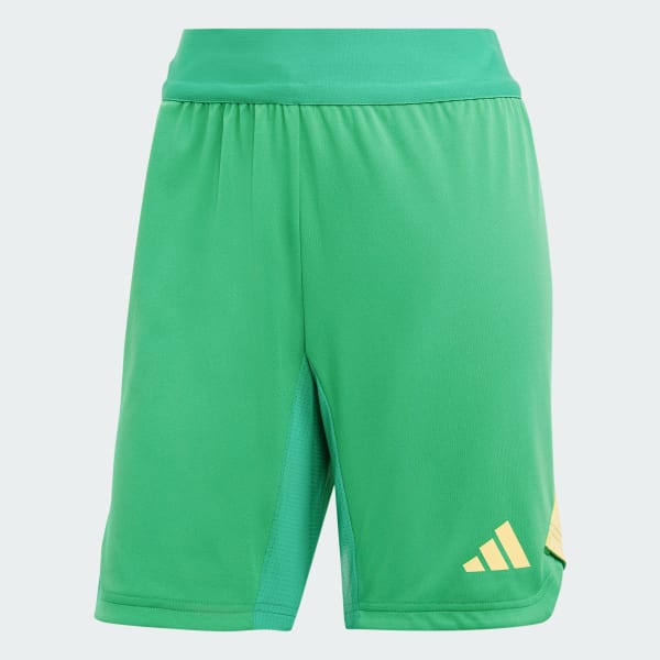 Verde Shorts de Arquero Tiro 24 Pro