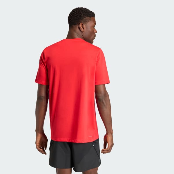 Rojo CAMISETA GRAPHIC FOR THE LONG RUN