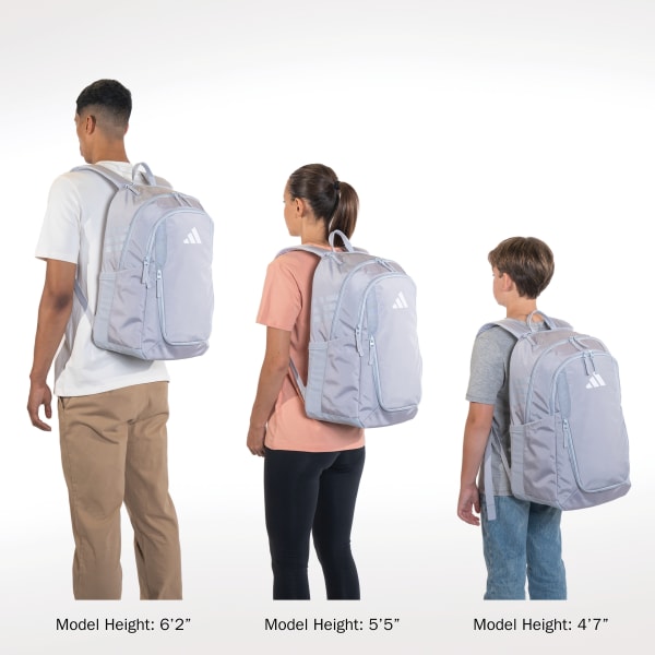 Blue Stadium 4 Backpack