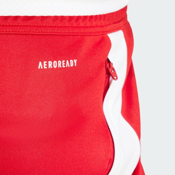Tiro 24 Training Pants (Plus Size)