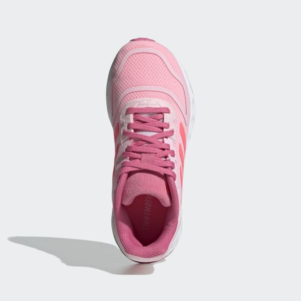 Rosa Tenis Duramo 10