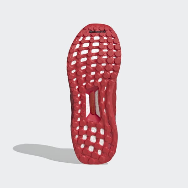 adidas ultraboost dna s&l