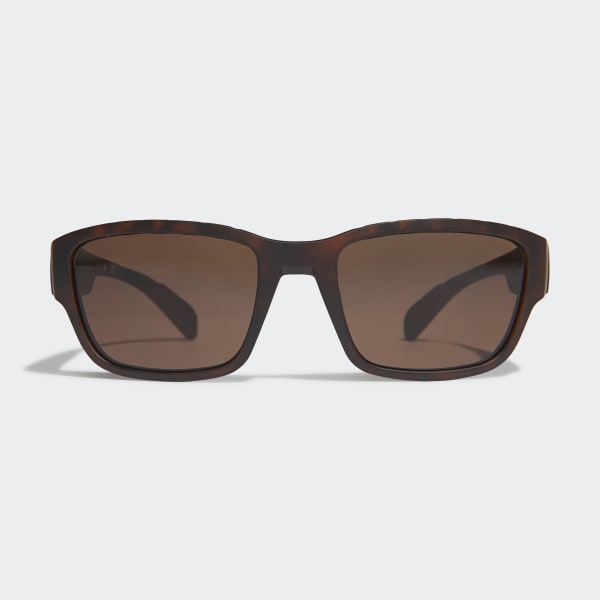 Castanho Óculos de Sol em Preto Brilhante Sport SP0007