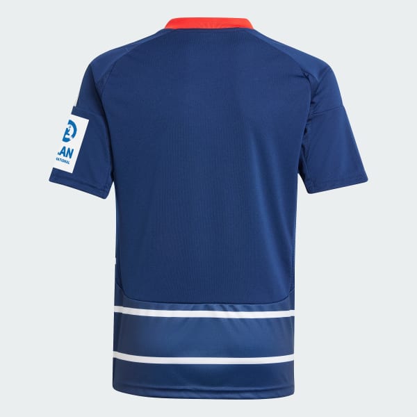 Azul Camisola Alternativa 24/25 do Hamburger SV – Criança