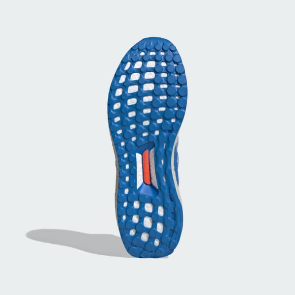 Blue Ultraboost 1.0 Shoes