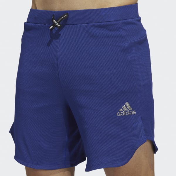 adidas Yoga Shorts - Blue