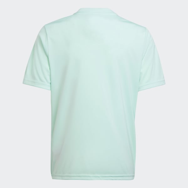 Green Team Icon 23 Jersey