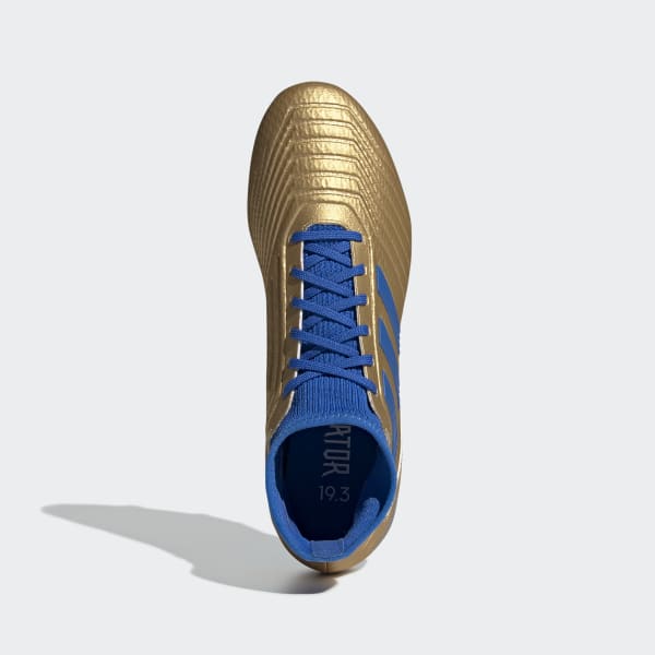 adidas predator 19.3 gold and blue