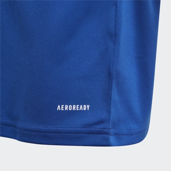 Bleu Maillot Squadra 21