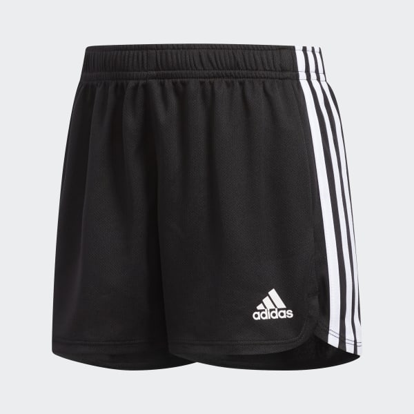 champion century satin