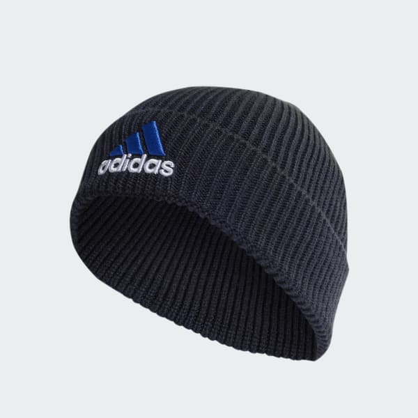Blue Two-Colored Logo Beanie GY381