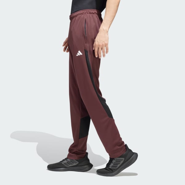adidas Sportswear Pants Burgundy adidas India