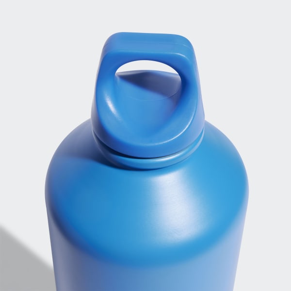 Azul Botella de Acero 0.75 litros