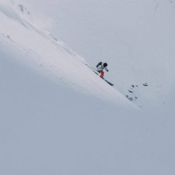 Orange TERREX 3Layer GORE TEX SNOW bukser