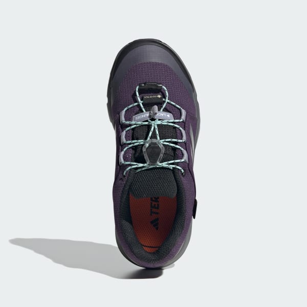 Purple Terrex GORE-TEX Hiking Shoes