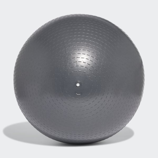 Grey Gym Ball CK6276X