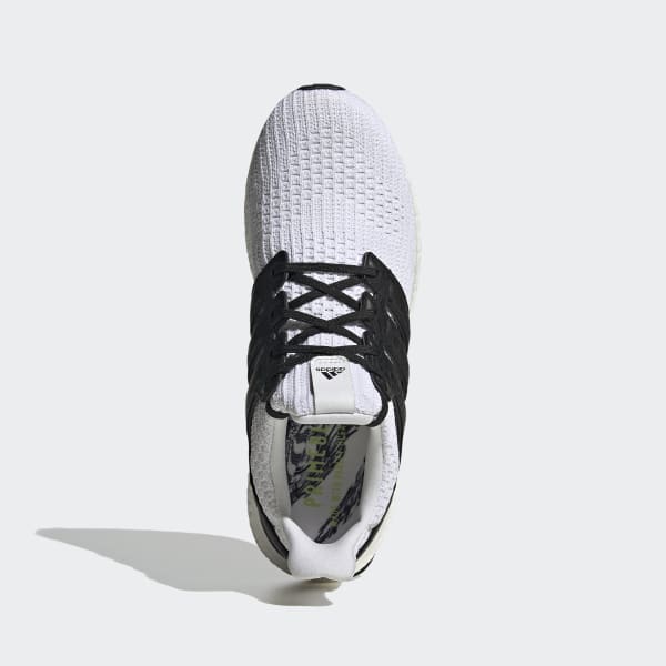 Adidas best sale crocodile shoes